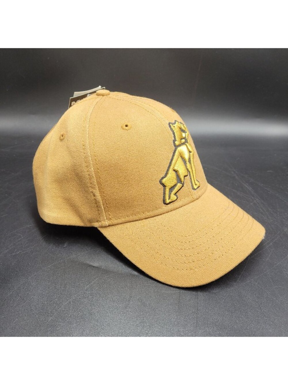 H3 Headwear MACK Truck Bulldog Canvas Men's One Size Cap Hat Snap Closure READ B